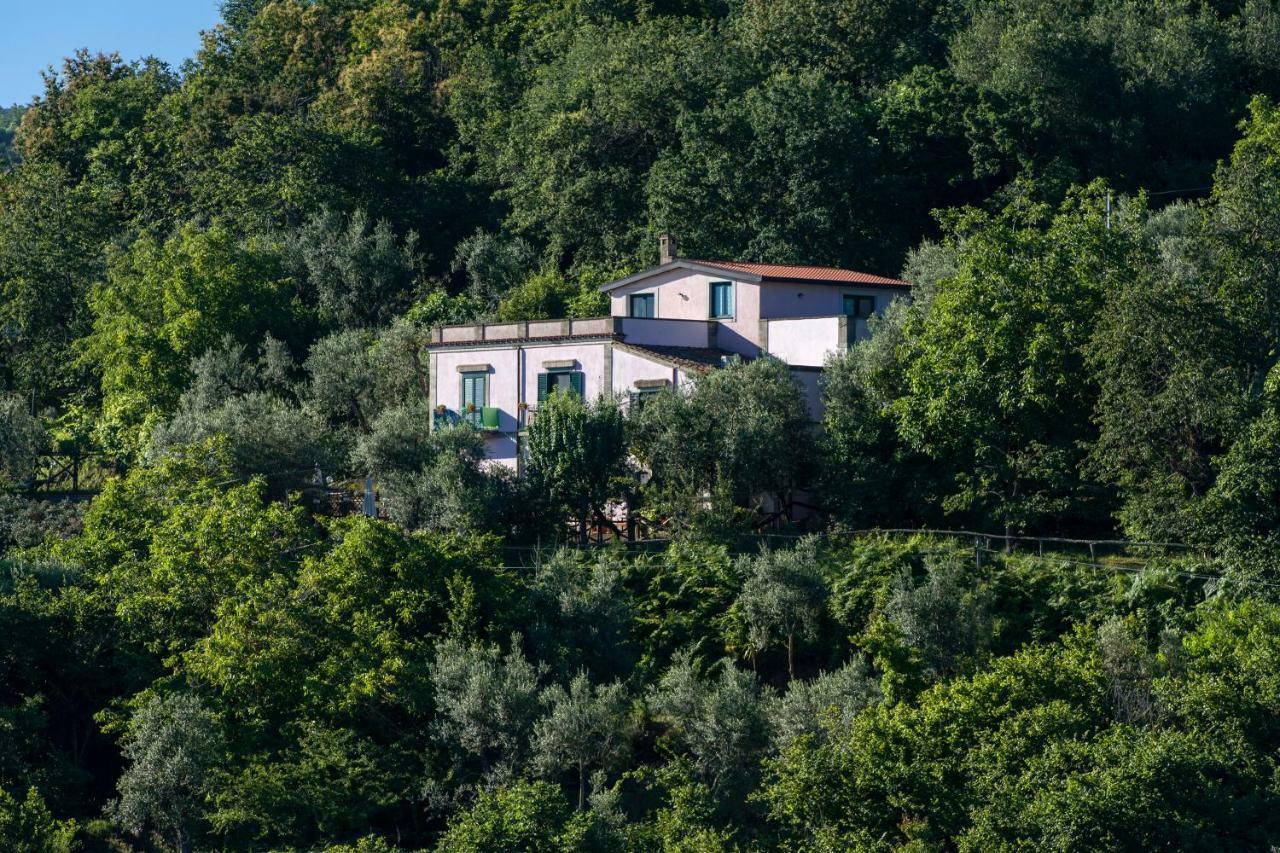 Отель Il Casale Сорренто Экстерьер фото